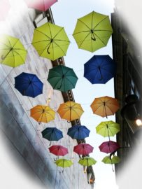 Schirm zum Schutz